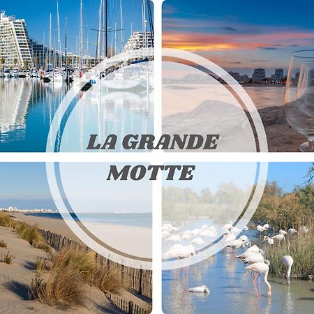 Le Dream Beach-Terrasse-Vue Mer D'Exception-Wifi-Parking - Top Pros Servicesconciergerie 帕拉瓦莱弗洛 外观 照片